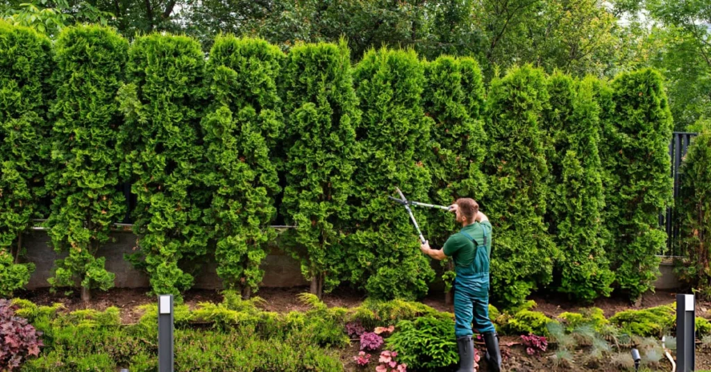 benefits of landscaping company