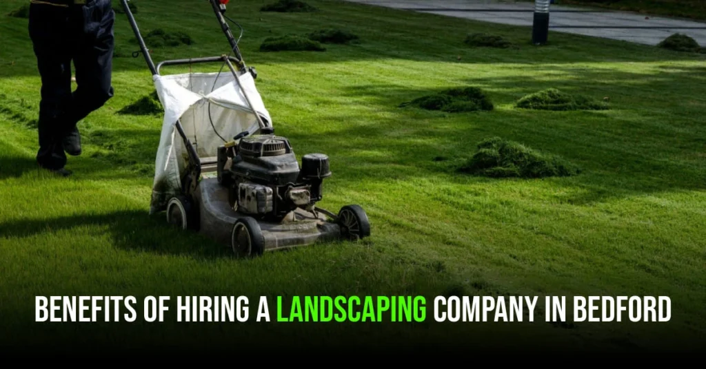 hire professional landscaping company