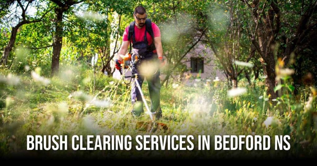brush clearing in Bedford