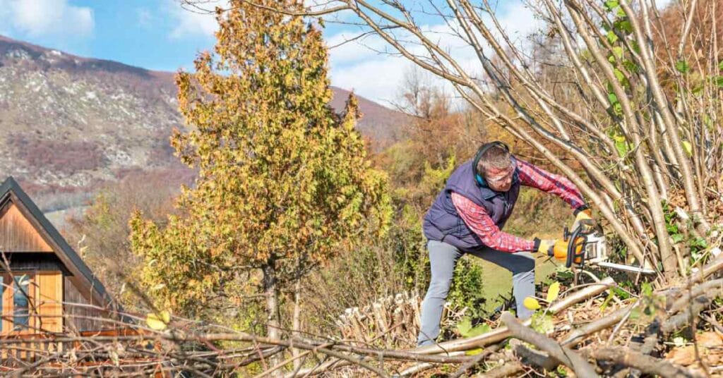 brush clearing